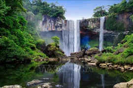 Protegen reserva mundial de la biosfera de Kon Ha Nung en Vietnam