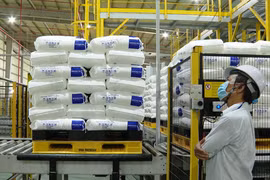 Provincia vietnamita desarrolla parques industriales especializados 