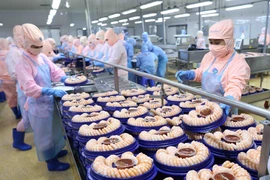Pesca, sector económico clave de Vietnam
