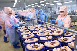 Pesca, sector económico clave de Vietnam
