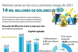 Vietnam atrae 14 mil millones de dólares de IED en cinco meses 
