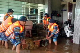 Dirigentes mundiales expresan condolencias a Vietnam por las pérdidas causadas por inundaciones