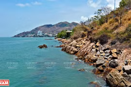 Playa Sau, destino atractivo de ciudad vietnamita de Vung Tau