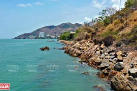Playa Sau, destino atractivo de ciudad vietnamita de Vung Tau