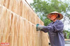 Fibra de plátano de Vietnam conquista el mercado mundial
