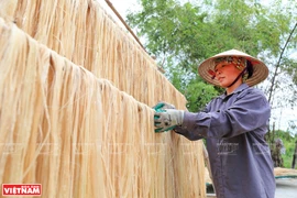 Fibra de plátano de Vietnam conquista el mercado mundial