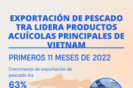 Exportación de pescado Tra lidera productos acuícolas principales de Vietnam