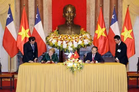 Vietnam-Chile: 50 años de desarrollo de sus nexos