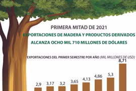 Exportaciones de madera de Vietnam alcanzan 8,71 mil millones de USD 