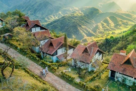 Turistas vietnamitas eligen resorts lujosos en ocasión del Tet