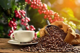 Mejoran el valor del café vietnamita