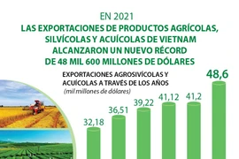 Vietnam alcanza nuevo récord en exportaciones agrosilvícolas y acuícolas en 2021
