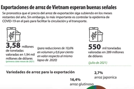 Exportaciones de arroz de Vietnam esperan buenas señales 