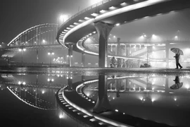 Obras premiadas del concurso fotográfico Dalat Yersin