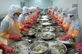 Exportaciones de camarón de Vietnam al Reino Unido exhiben brillantes perspectivas