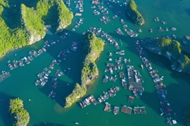 Isla Cat Ba – destino atractivo de ciudad de Hai Phong