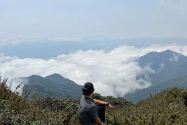 Vietnam desarrolla turismo asociado a la protección forestal