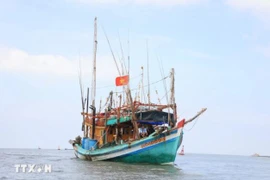 Foto de ilustración. (Fuente: VNA)