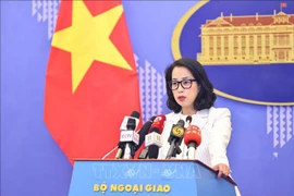 La portavoz del Ministerio de Relaciones Exteriores de Vietnam, Pham Thu Hang. (Foto: VNA)