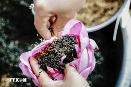 Té con flores del loto del Lago del Oeste, un regalo de Hanoi