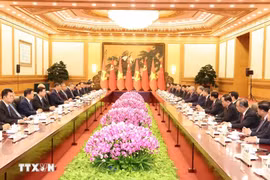 Reunión entre el secretario general del PCV y presidente de Vietnam, To Lam, y el secretario general del PCCh y presidente de China, Xi Jinping. (Foto: VNA)