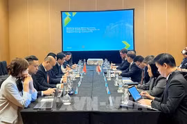 En la reunión entre Vietnam, Singapur y Estados Unidos sobre la exportación de electricidad a gran escala. (Foto: VNA)