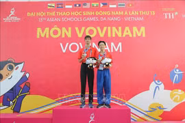 El equipo nacional de Vovinam gana dos medallas de plata en los XIII Juegos Escolares de la ASEAN. (Foto: VNA)