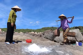 Antigua aldea salinera de Sa Huynh en provincia de Quang Ngai