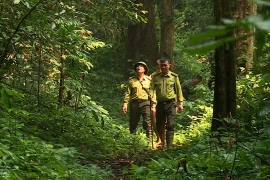 Provincia vietnamita de Tuyen Quang preserva biodiversidad y animales raros