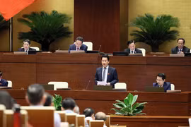 El ministro vietnamita de Recursos Naturales y Medio Ambiente, Dang Quoc Khanh, interviene en la sesión. (Foto: VNA)