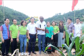 La delegación de la FAO visita varias cooperativas locales que reciben apoyo del FFF. (Foto: VNA)