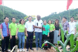 La delegación de la FAO visita varias cooperativas locales que reciben apoyo del FFF. (Foto: VNA)