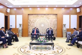 Panorama de la reunión. (Foto: VNA)