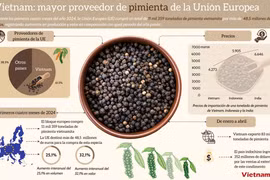 Vietnam: mayor proveedor de pimienta de la Unión Europea