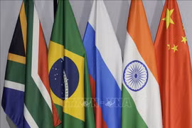 Banderas de países miembros del BRICS. (Foto: AFP/ VNA)