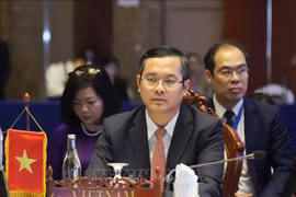 El viceministro vietnamita de Educación y Formación Nguyen Van Thuc, en el evento. (Foto: VNA)