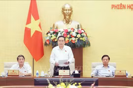 El presidente de la Asamblea Nacional de Vietnam, Tran Thanh Man, interviene en la cita. (Foto: VNA)
