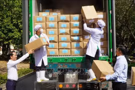 Lote de raíces de loto. (Foto: VNA)