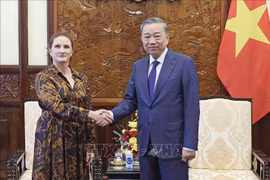 El presidente de Vietnam, To Lam, recibe a la embajadora neozelandesa en el país, Caroline Beresford. (Foto: VNA)