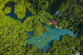 10 años de reconocimiento del complejo paisajístico de Trang An como patrimonio mundial
