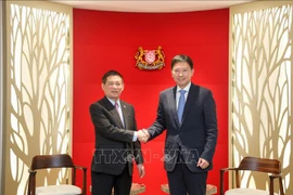 El ministro de Finanzas, Ho Duc Phoc, se reunió con el segundo ministro de Finanzas de Singapur, Chee Hong Tat. (Fuente: VNA)