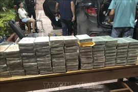 Decomisan 100 barras de heroína (Fuente: VNA)