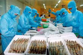 Alta demanda de productos agrícolas en África y Medio Oriente: enormes oportunidades para Vietnam