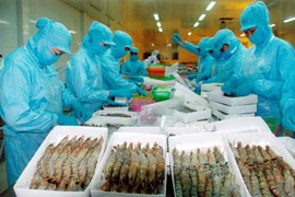 Alta demanda de productos agrícolas en África y Medio Oriente: enormes oportunidades para Vietnam