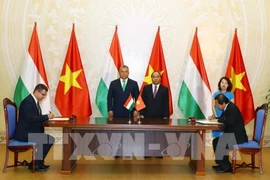 Impulsan cooperación Vietnam-Hungría en informática y comunicación 