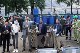 Detectan en Hanoi tráfico ilegal de presuntos cuernos de rinocerontes