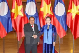 Presidenta del Parlamento vietnamita se entrevista con máximo dirigente de Laos