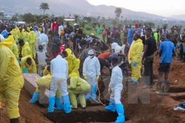 Vietnam expresa condolencias a Sierra Leona por graves inundaciones 