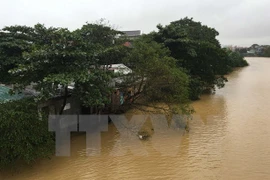 Vietnamitas en Francia unen manos para apoyar a compatriotas en país de origen tras inundaciones