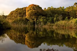 Parque Nacional de Chu Mom Ray, potencial destino turístico en Vietnam